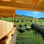 Winzerhaus Suedsteiermark Leibnitz