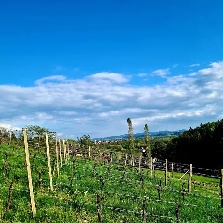 Chalet Winzerhaus Südsteiermark