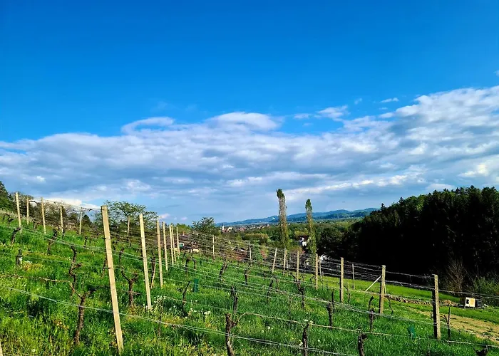 בקתה Winzerhaus Suedsteiermark